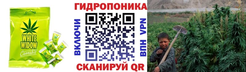 Cannafood конопля  хочу   Луга 