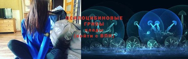 трава Лихославль