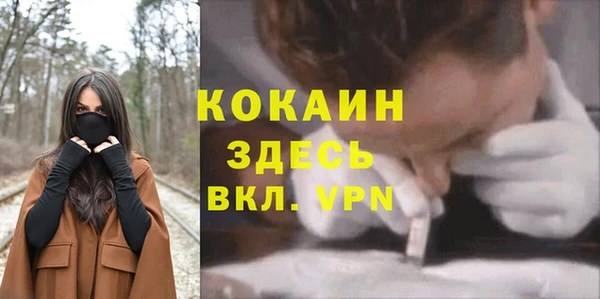 ECSTASY Липки