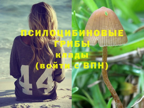 ECSTASY Липки