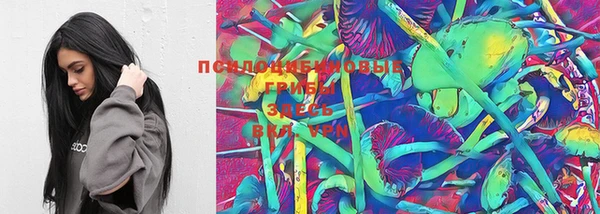 ECSTASY Липки