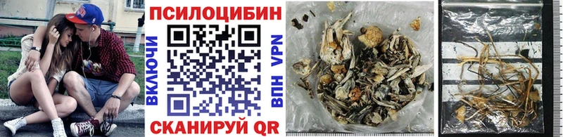Галлюциногенные грибы Psilocybe сколько стоит Луга