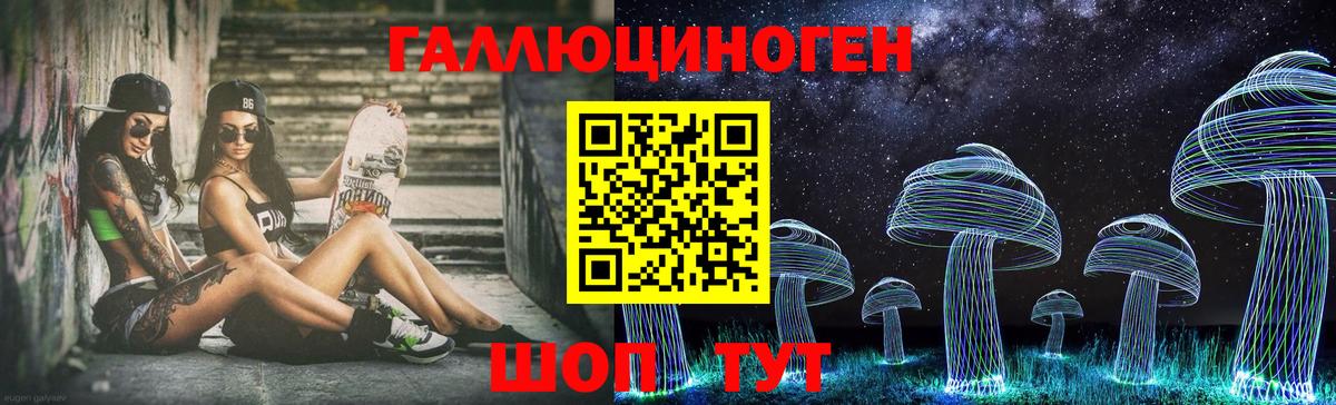 Псилоцибиновые грибы Psilocybe  Псилоцибиновые грибы Cubensis  дарнет шоп  Луга 