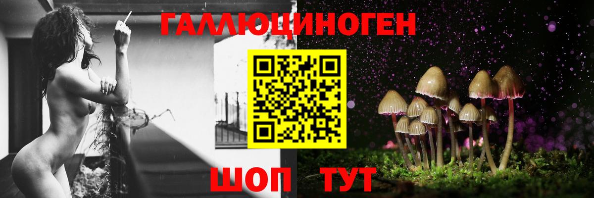 Галлюциногенные грибы ЛСД Луга