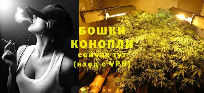 МАРИХУАНА THC 21%  Луга 